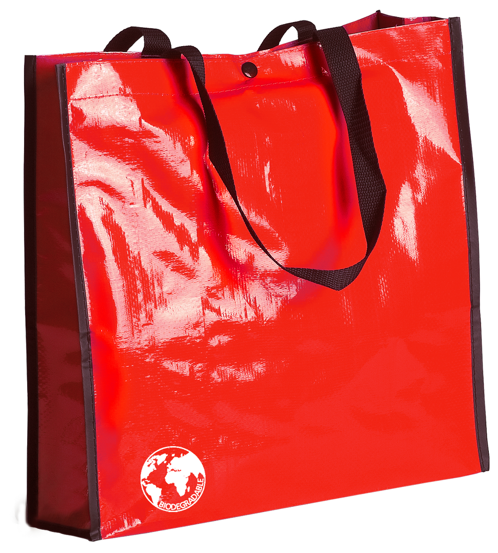 Bolsa Recycle