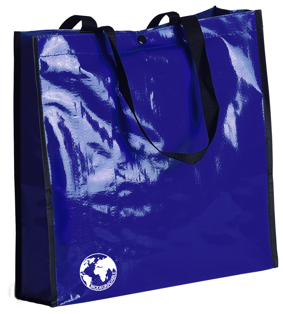 Bolsa Recycle